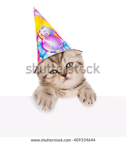 You hard Sad birthday cat are Come forum Sad birthday cat opinion