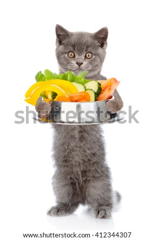Kitten holding bowl of vegetables. isolated on white background.