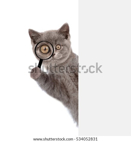 Similar – Foto Bild Katze, die durch das Fenster schaut, Katze mit Zunge