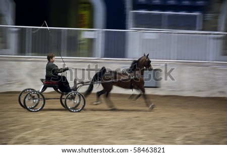 TORONTO, ONTARIO, CANADA - August 4: Unidentified participant in the Canadian National Exhibition Horse Show Competition on August 4, 2010 in Ricoh Coliseum, Toronto, Ontario, Canada