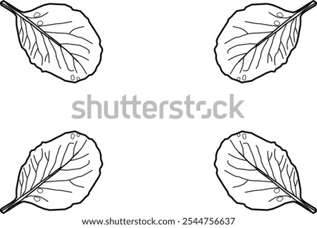 leaf frame vector in doole style. black and white leaves frame tropical horizontal border. Vector illustration with beautiful Amazon rainforest tropical plants.