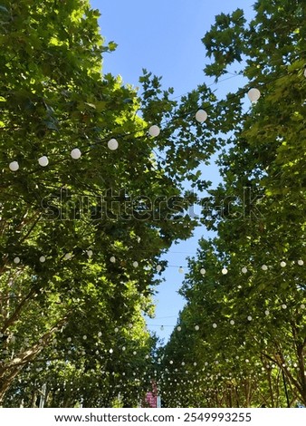 Similar – Image, Stock Photo Lights hang overhead on a clear summer evening