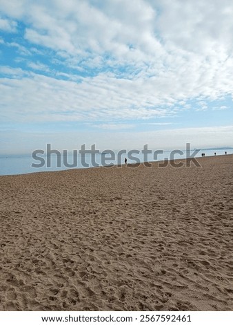 Similar – Image, Stock Photo Walk on a Baltic Sea hiking trail in the dunes