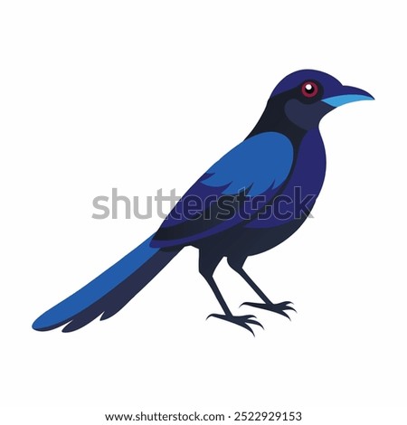 Illustration of a Seychelles Magpie Robin vector art