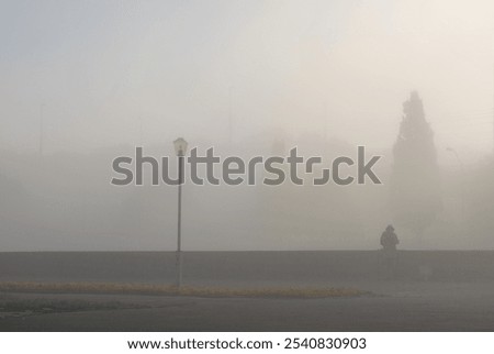 Similar – Foto Bild Morgennebel Herbst Straße