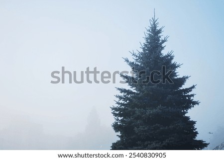 Similar – Foto Bild Morgennebel Herbst Straße