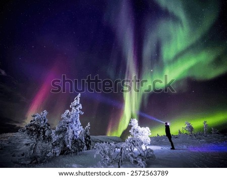 Similar – Image, Stock Photo Hiker observing forest in binoculars