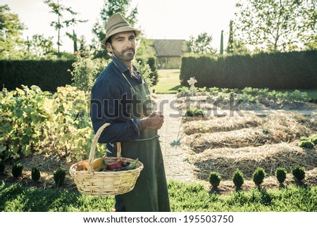Worker with basket of organic vegetables, picked up from a synergistic vegetable garden