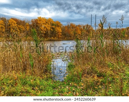 Similar – Image, Stock Photo It was Friday and so he simply left the crooked nail to its fate. Since then, he’s been living on a wooden plank.