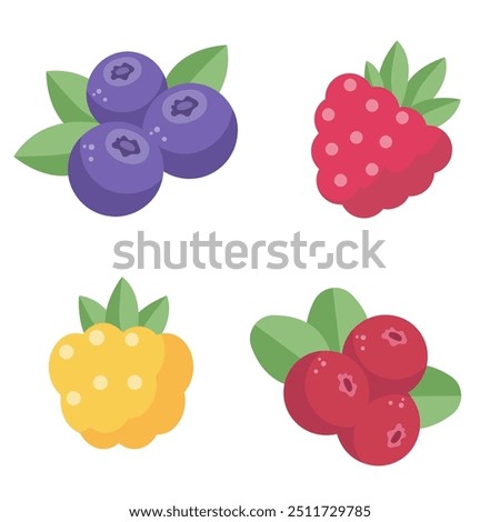 wild berries isolated on a transparent background. Simple, stylish flat illustration of blueberry, raspberry, cloudberry and cowbberry