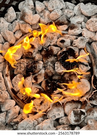 Similar – Foto Bild Schöne runde Holzschale mit Walnüssen und Haselnüssen zur Adventszeit in einer Designerwohnung auf einem Bauernhof in Rudersau bei Rottenbuch im Kreis Weilheim-Schongau in Oberbayern, fotografiert in traditionellem Schwarzweiß