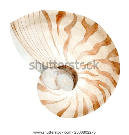 Similar – Image, Stock Photo large spiral sea shell close-up abstract texture macro