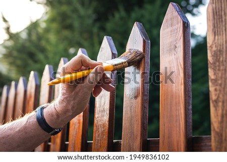 Man painting wood stain at timber plank in garden. Paint protective varnish on wooden picket fence at backyard Foto stock © 