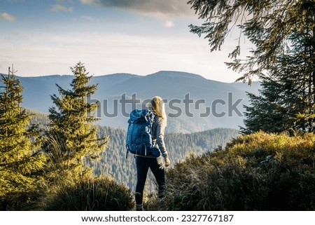 Similar – Image, Stock Photo Hiking in the mountains of the Dolomites with horse in the foreground