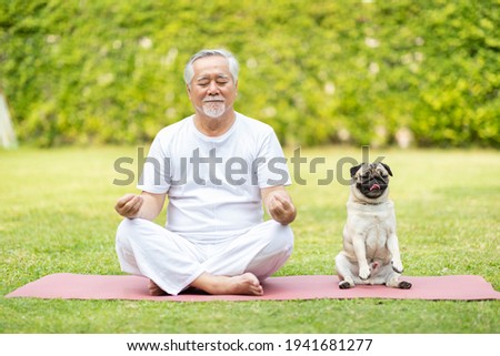 Similar – Image, Stock Photo Calm dog on green grass in countryside