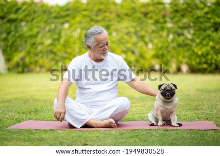 Image, Stock Photo Owner petting pug dog on grass