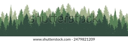 Horisontal forest landscape. Vector illustration. Layered trees background. Outdoor and hiking concept