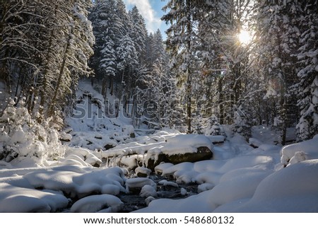 Similar – Image, Stock Photo Snowy hiking trail with legs