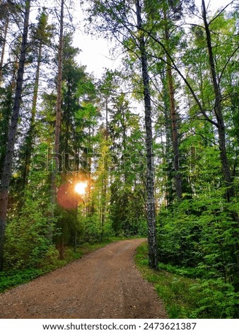 Similar – Image, Stock Photo Path through forest with green grass alongside