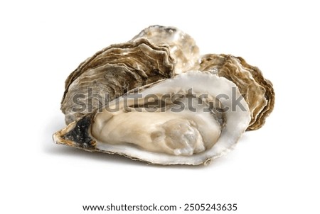 Image, Stock Photo Fresh oysters with lemons in restaurant