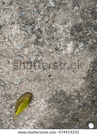 Dry Leaf On Concrete Top View 474419242 Dry Leaf On Concrete Top View 474419242