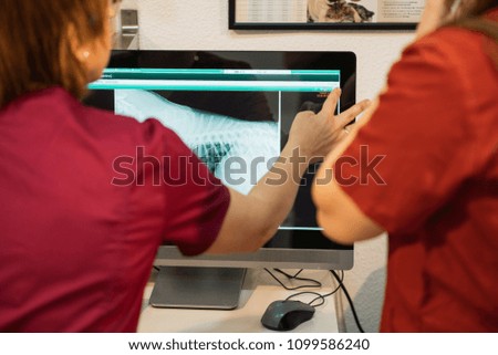 Similar – Image, Stock Photo Veterinarian checking teeth of dog