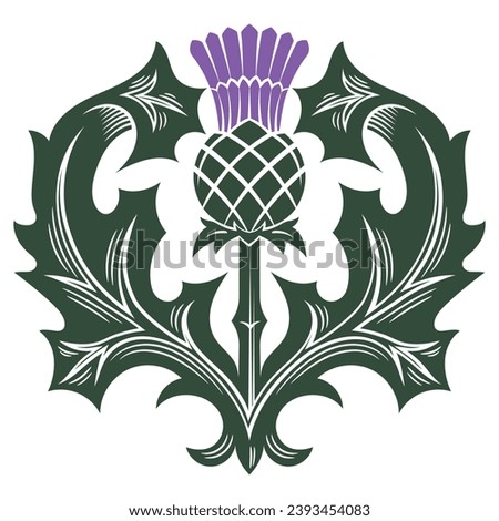 Old Scottish design. Thistle flower in Celtic ethnic style, isolated on white, vector illustration