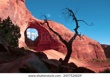 Similar – Image, Stock Photo Monument Valley Juniper