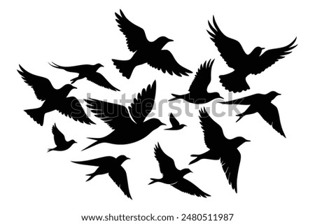 Silhouette flock of birds isolated on white background