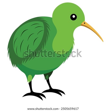 kiwi bird on a white background