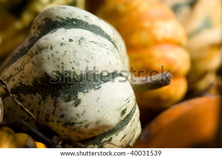 Gourds at a farm stand with one gourd in front in focus. Shallow depth of field