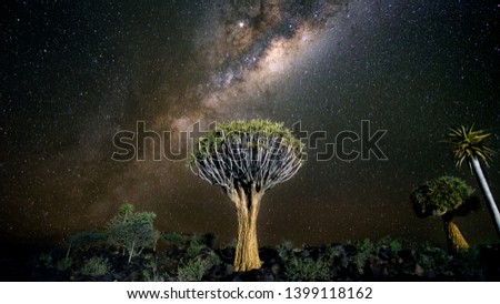 Similar – Image, Stock Photo Starry sky over Namibia