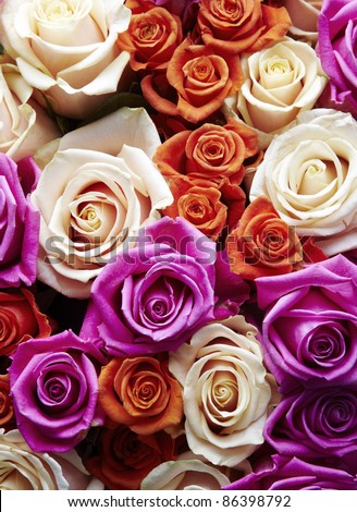 Multicolored roses packed tightly together