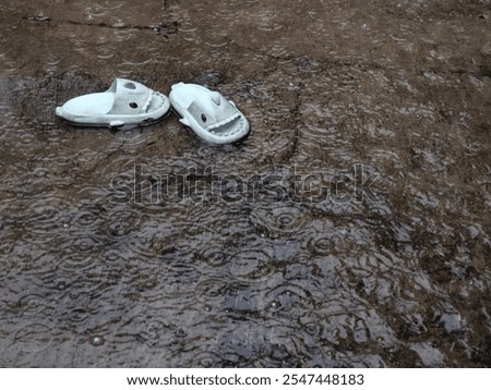 Similar – Image, Stock Photo rubber slippers float in clear water next to female legs