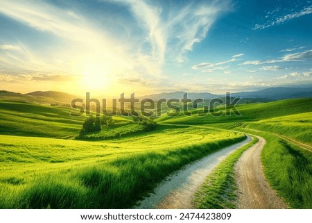 Similar – Foto Bild Sommerlicher Weg mit Gras und Bäumen sowie blauen Himmel lädt zum Spaziergang ein