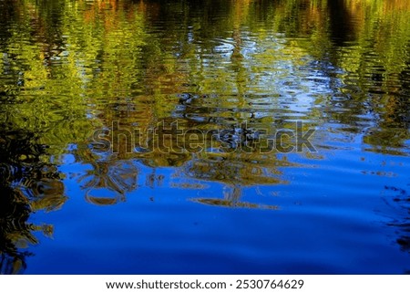 Similar – Image, Stock Photo Close to the water 3 Water