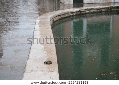 Similar – Image, Stock Photo Rainy day in Venice venice