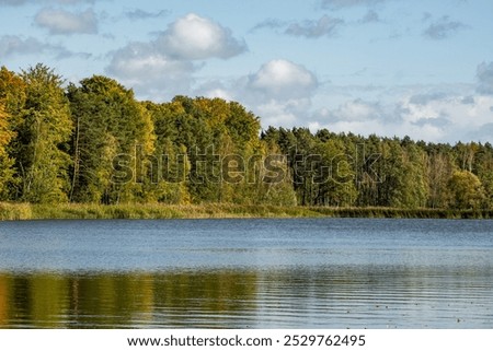 Similar – Foto Bild Spiegelung Wasser Herbst