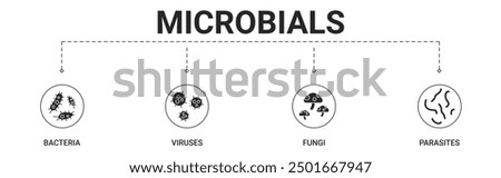 Microbials banner include bacteria, viruses, fungi, parasites icon vector concept