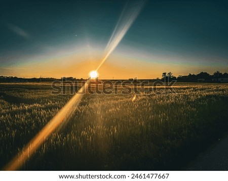 Similar – Image, Stock Photo When the sun goes to sleep