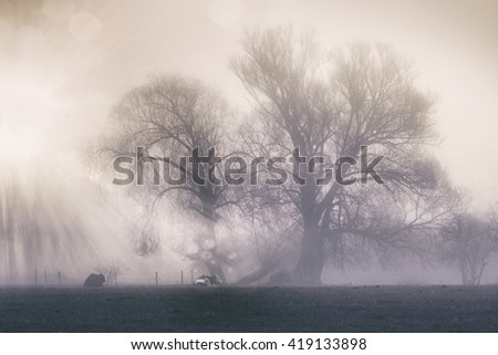 Similar – Image, Stock Photo Uckermark cows Field