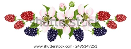 A bouquet with a flower and a blackberry berry. Botanical border.  A garden plant with pink flowers, green leaves and bright red and black berries. Vector illustration.