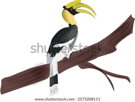 The great hornbill Buceros bicornis also known as the concave casqued hornbill great Indian hornbill or great pied hornbill  It has been listed as Vulnerable on the IUCN Red List since 2018