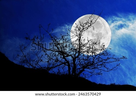 Similar – Image, Stock Photo Full moon on dark gray sky at night