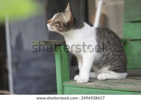 Similar – Image, Stock Photo He sat outside the door, looked at his hands and wondered if he had washed them thoroughly.