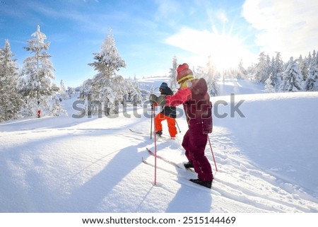 Similar – Foto Bild Langlauf / Skatingspuren im Schnee