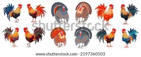 Collection of isolated farm birds on white background. colorful feathered creature. rooster with bright tail. multicolor turkey. domestic animals with wings. chinese zodiac symbol. realistic cockerel