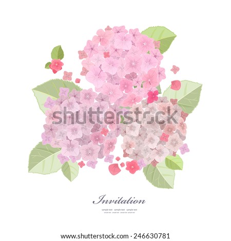 Collection a beautiful of flowers, pink hydrangea for your design