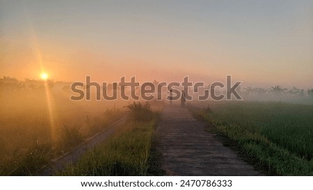 Similar – Foto Bild spaziergang Landwirtschaft