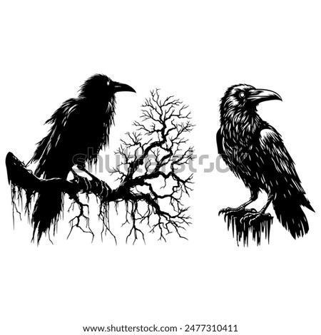 A drawing of a crow's silhouette shows its frightfulness.